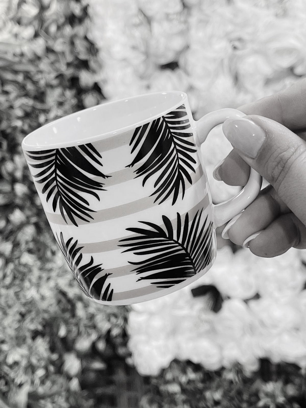 4 tasses مدموجين