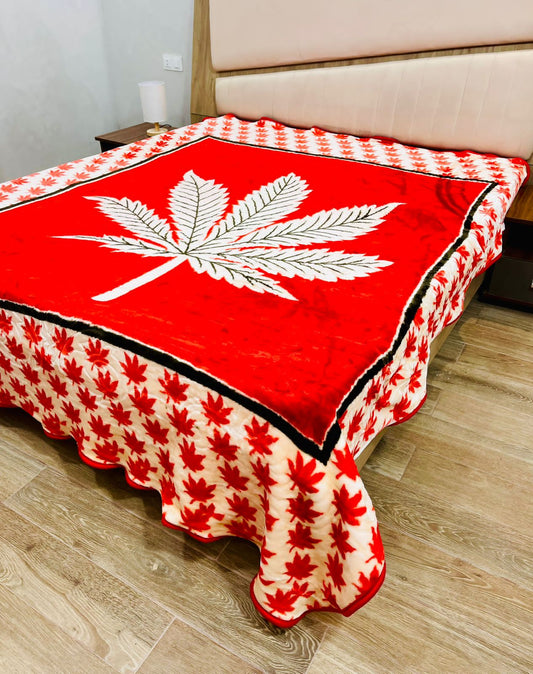 Couverture 2 places 4 kilo /220/240cm