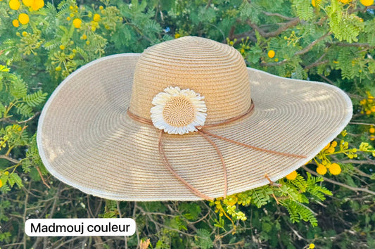 Chapeau مدموجين