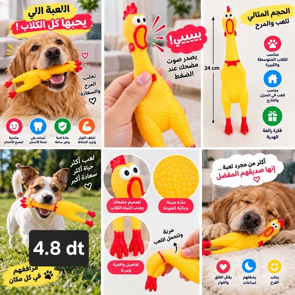 jouet poulet